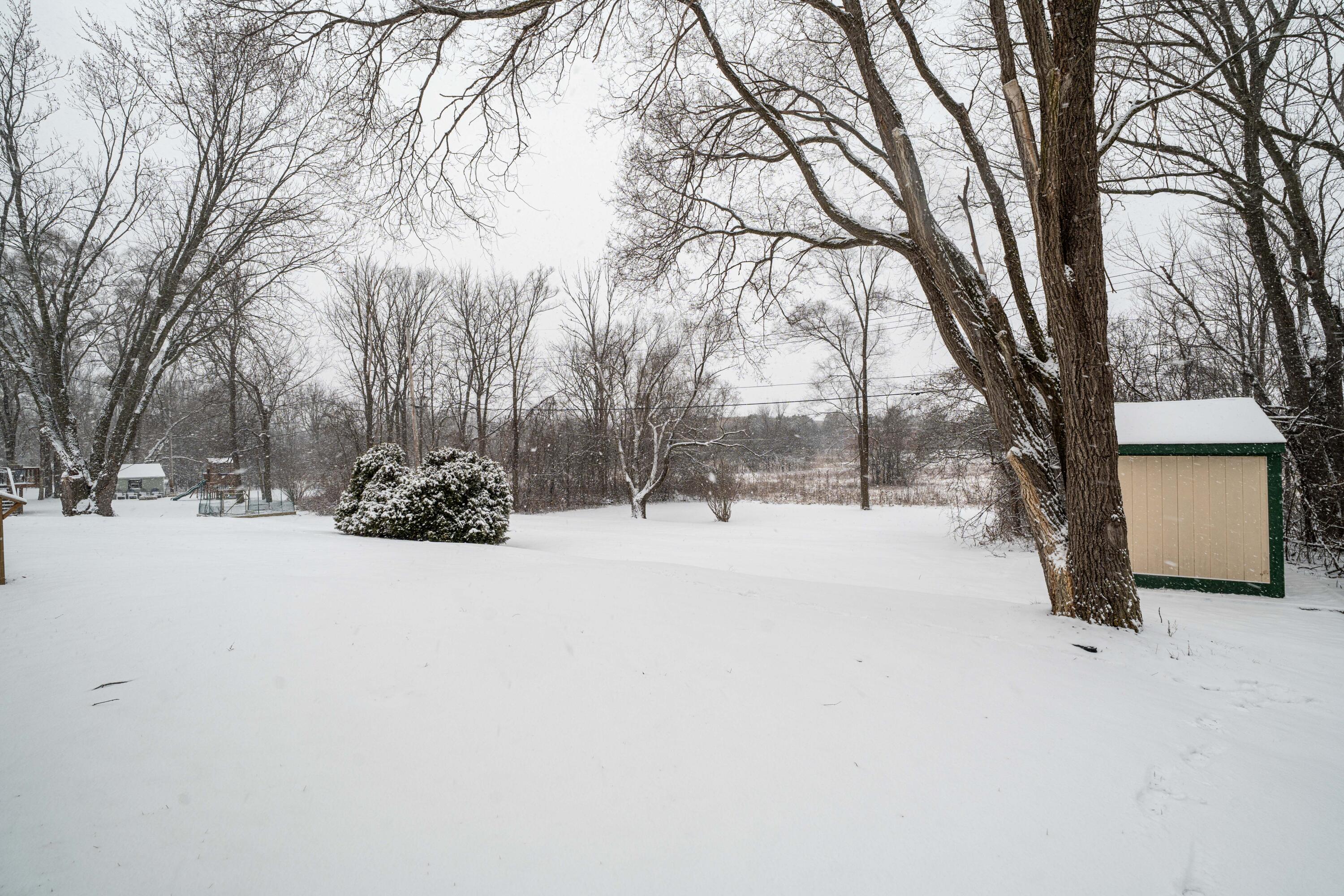 W136N8741 Esquire Road Menomonee Falls, WI 53051 - Photo 42 of 45 backyard with shed