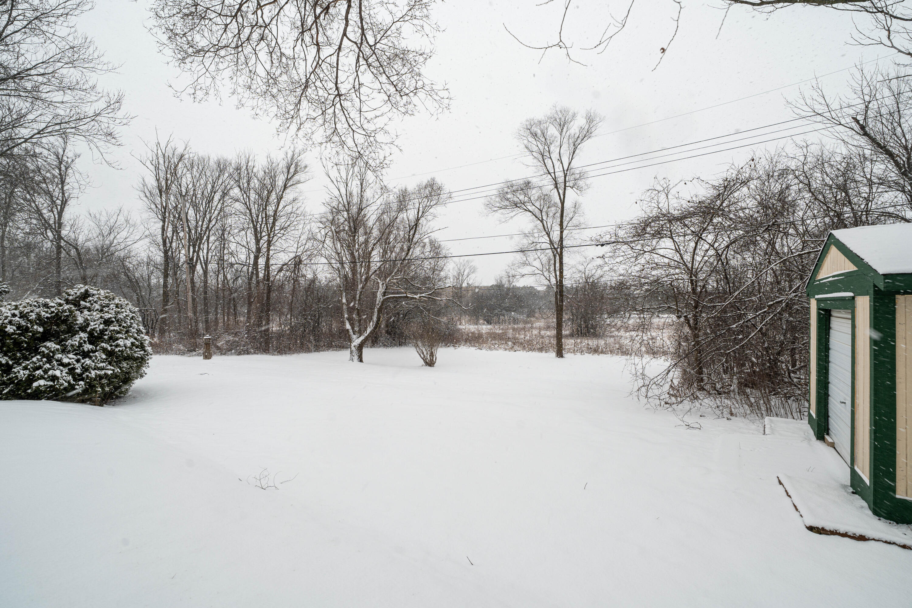 W136N8741 Esquire Road Menomonee Falls, WI 53051 - Photo 43 of 45 backyard with shed