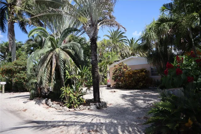 a view of a yard with plants