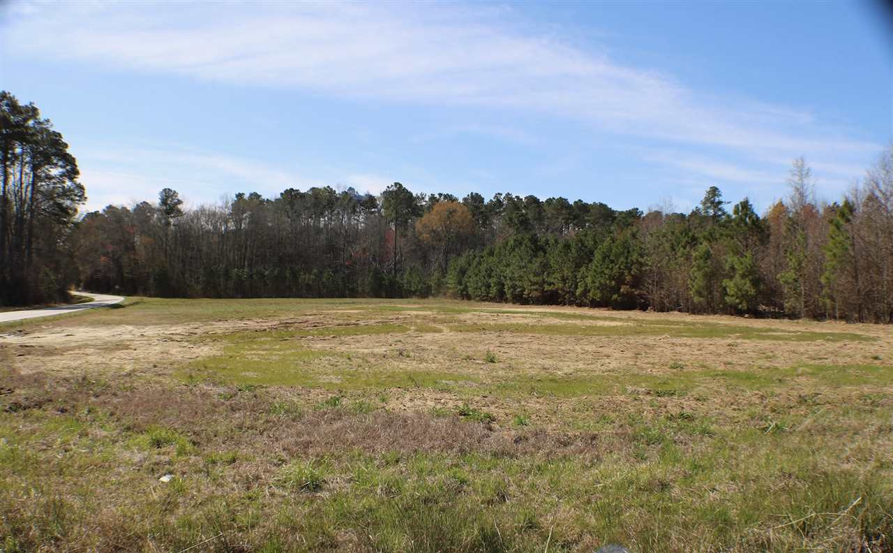 Thanksgiving Fire Road Selma, NC 27576 - Photo 13 of 16 CLEARED 2 ACRES