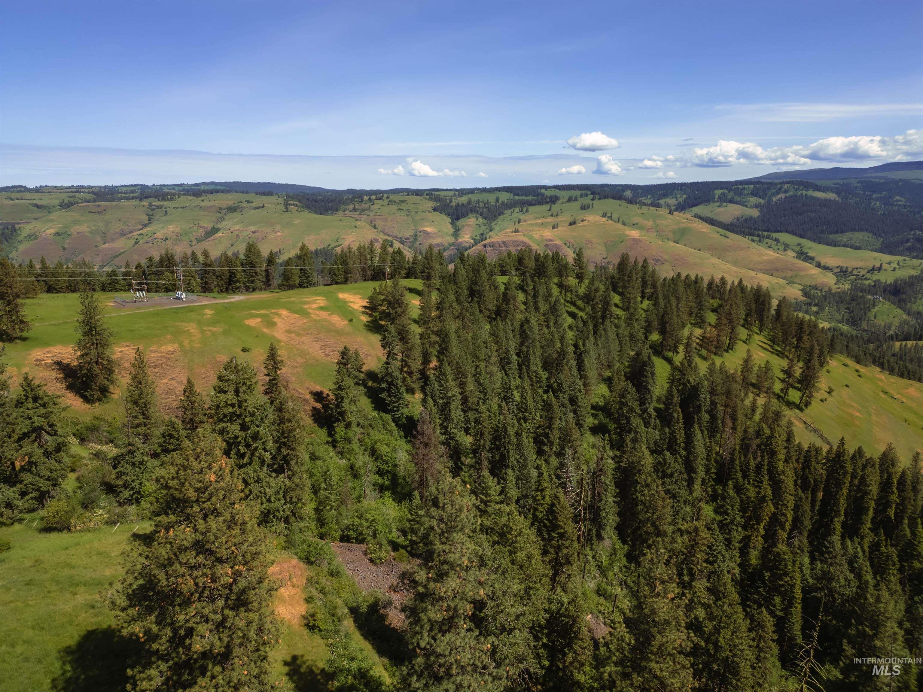 216 Ulmer Road Kooskia, ID 83539 - Photo 8 of 47