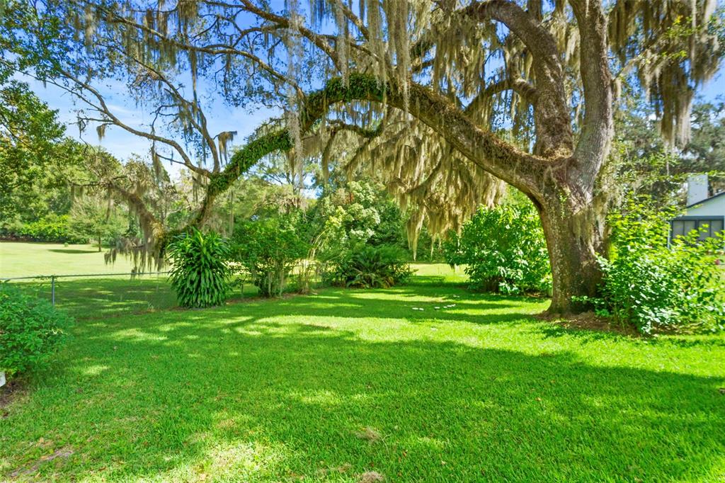 1795 Ridgewood Street DeLand, FL 32720 - Photo 11 of 39