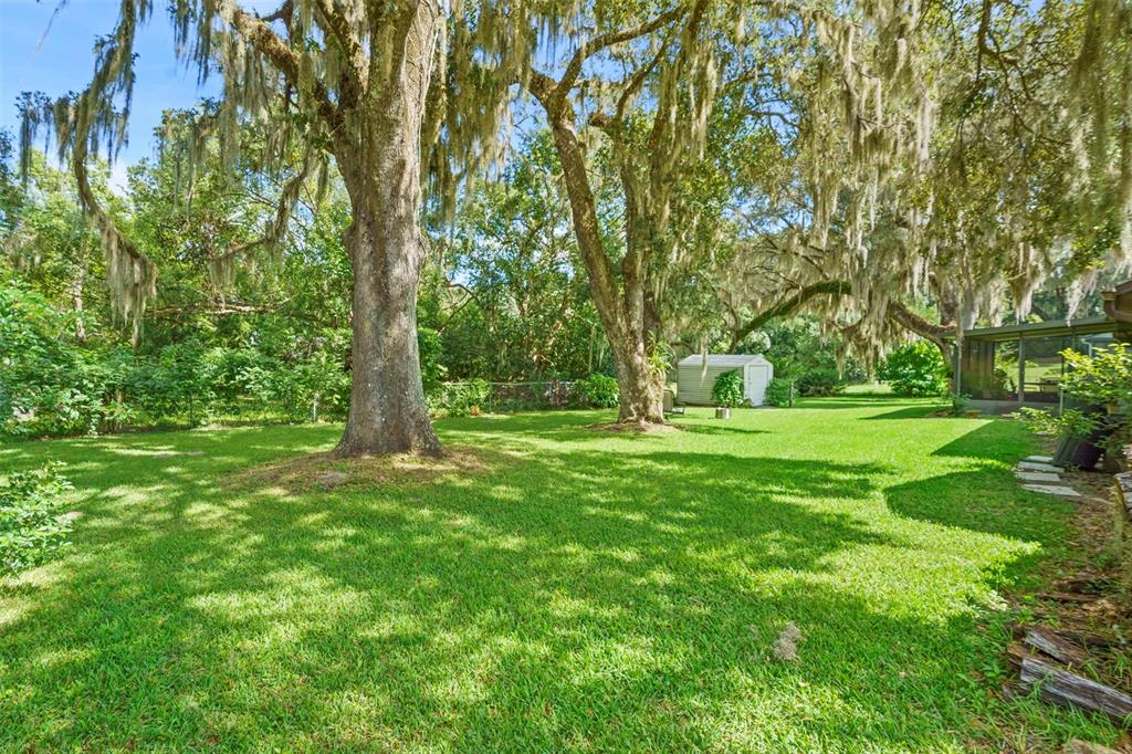 1795 Ridgewood Street DeLand, FL 32720 - Photo 8 of 39