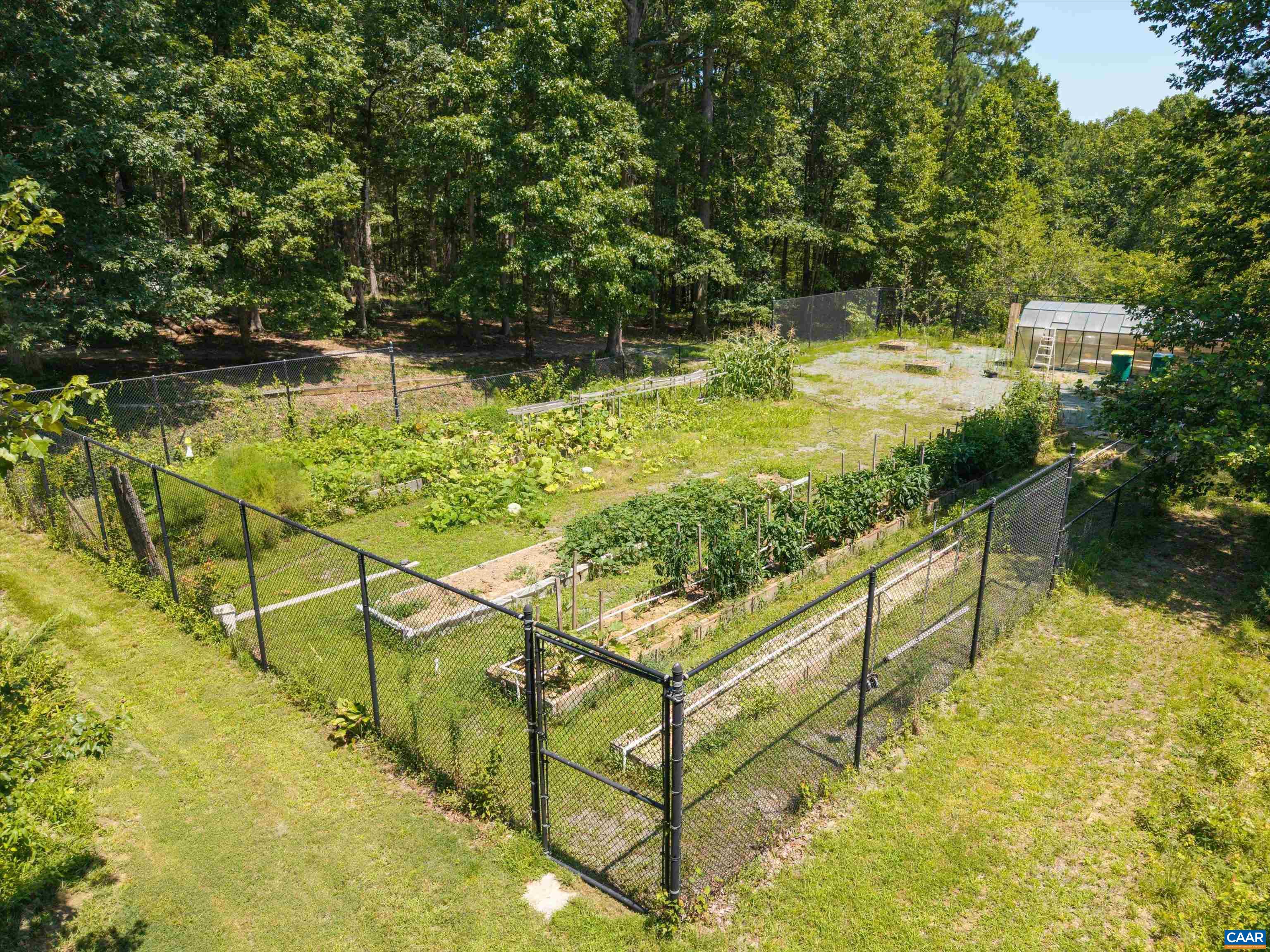 15365 Madison Run Road Gordonsville, VA 22942 - Photo 33 of 38 a view of swimming pool with seating area and trees in the background