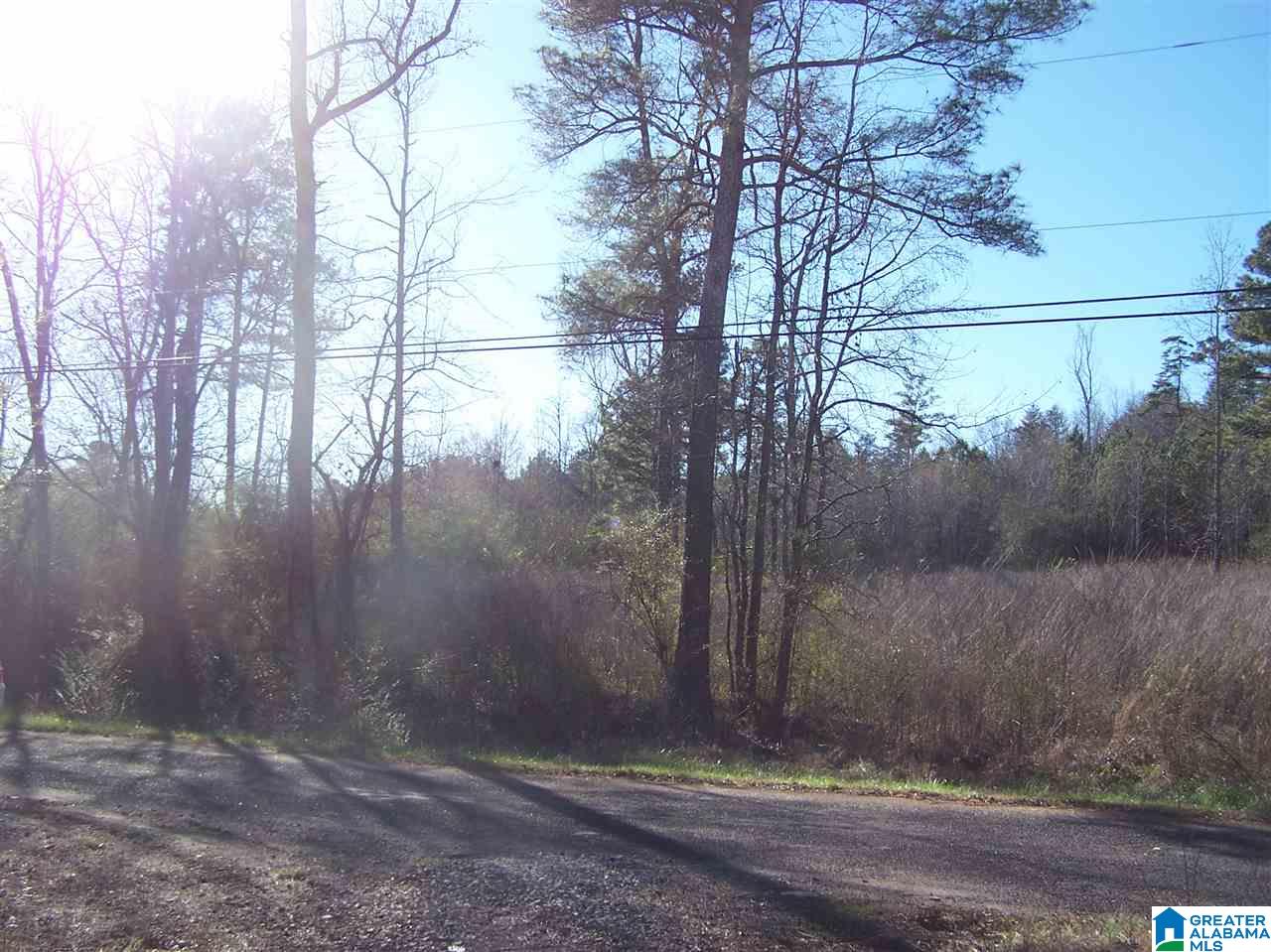 4136 Powder Mill Road Mount Olive, AL 35117 - Photo 6 of 10