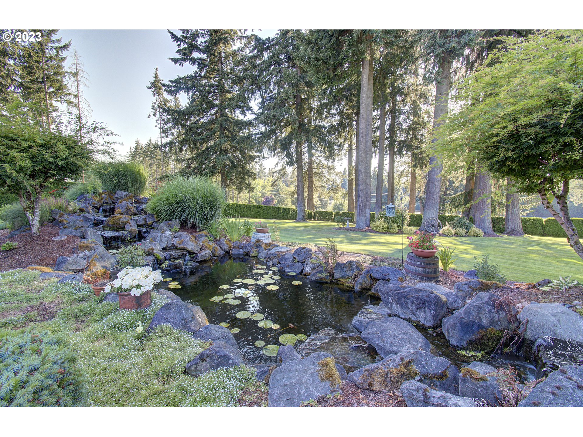 4702 Northeast 199th Street Ridgefield, WA 98642 - Photo 14 of 32 a view of a yard with large trees