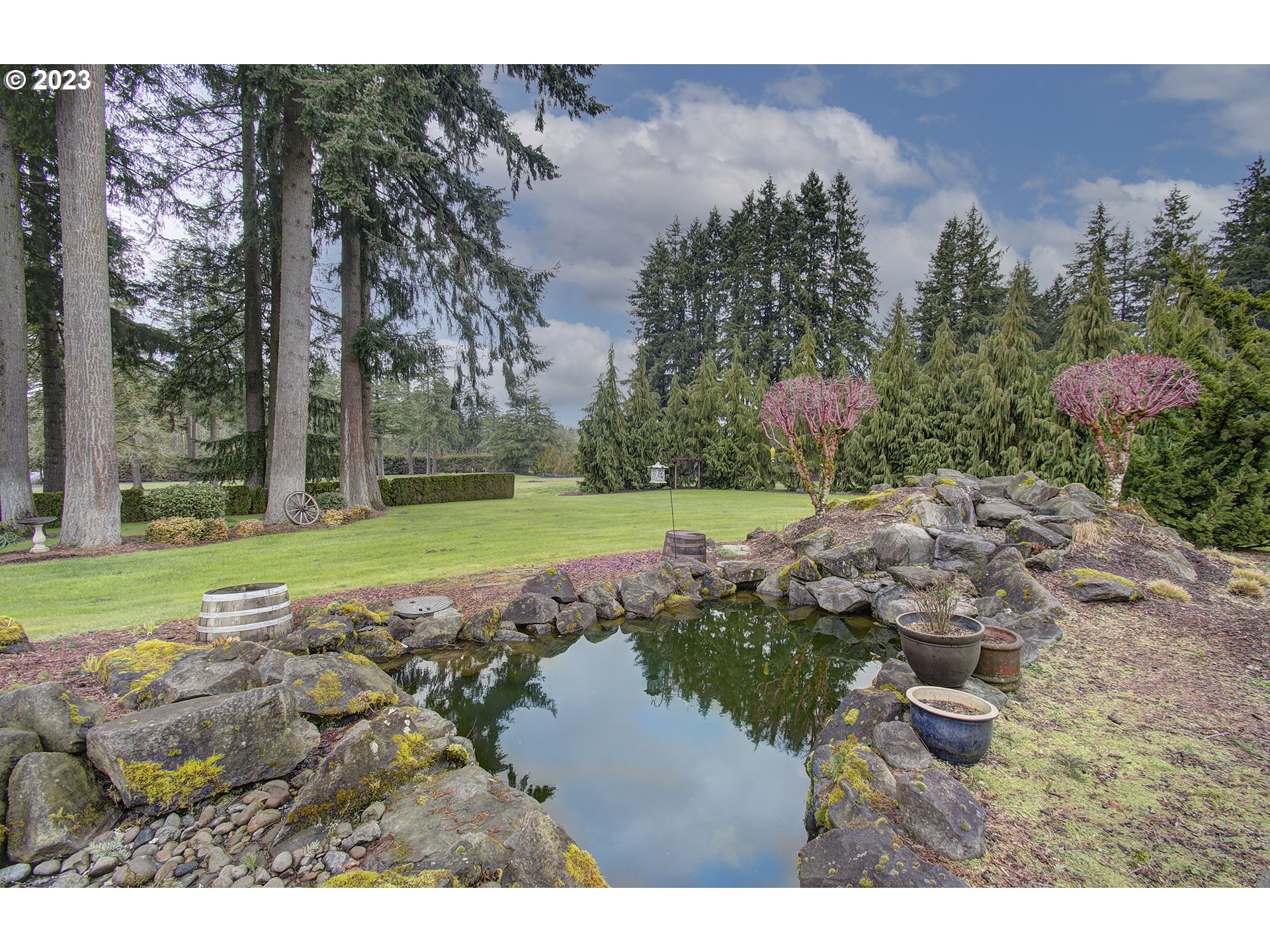4702 Northeast 199th Street Ridgefield, WA 98642 - Photo 15 of 32 a view of a garden with a tree