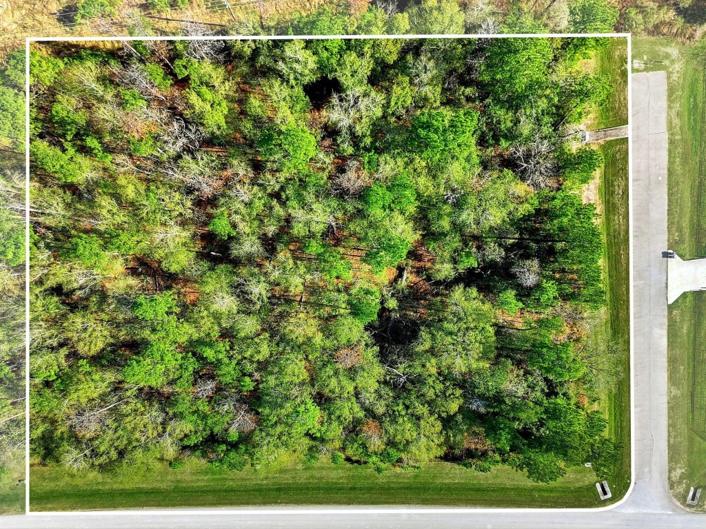 27560 South Lazy Meadow Way Spring, TX 77386 - Photo 1 of 42 a view of a yard with a tree