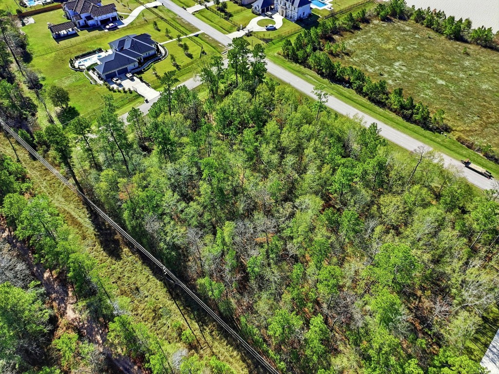 27560 South Lazy Meadow Way Spring, TX 77386 - Photo 12 of 42 a view of a garden