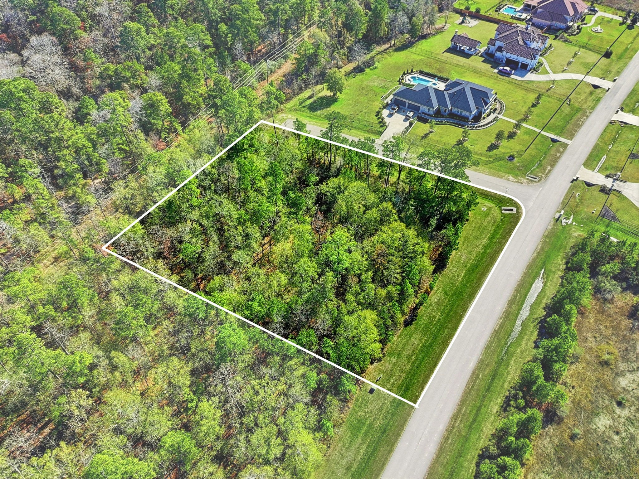 27560 South Lazy Meadow Way Spring, TX 77386 - Photo 2 of 42