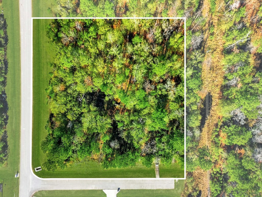 27560 South Lazy Meadow Way Spring, TX 77386 - Photo 22 of 42 a view of a forest