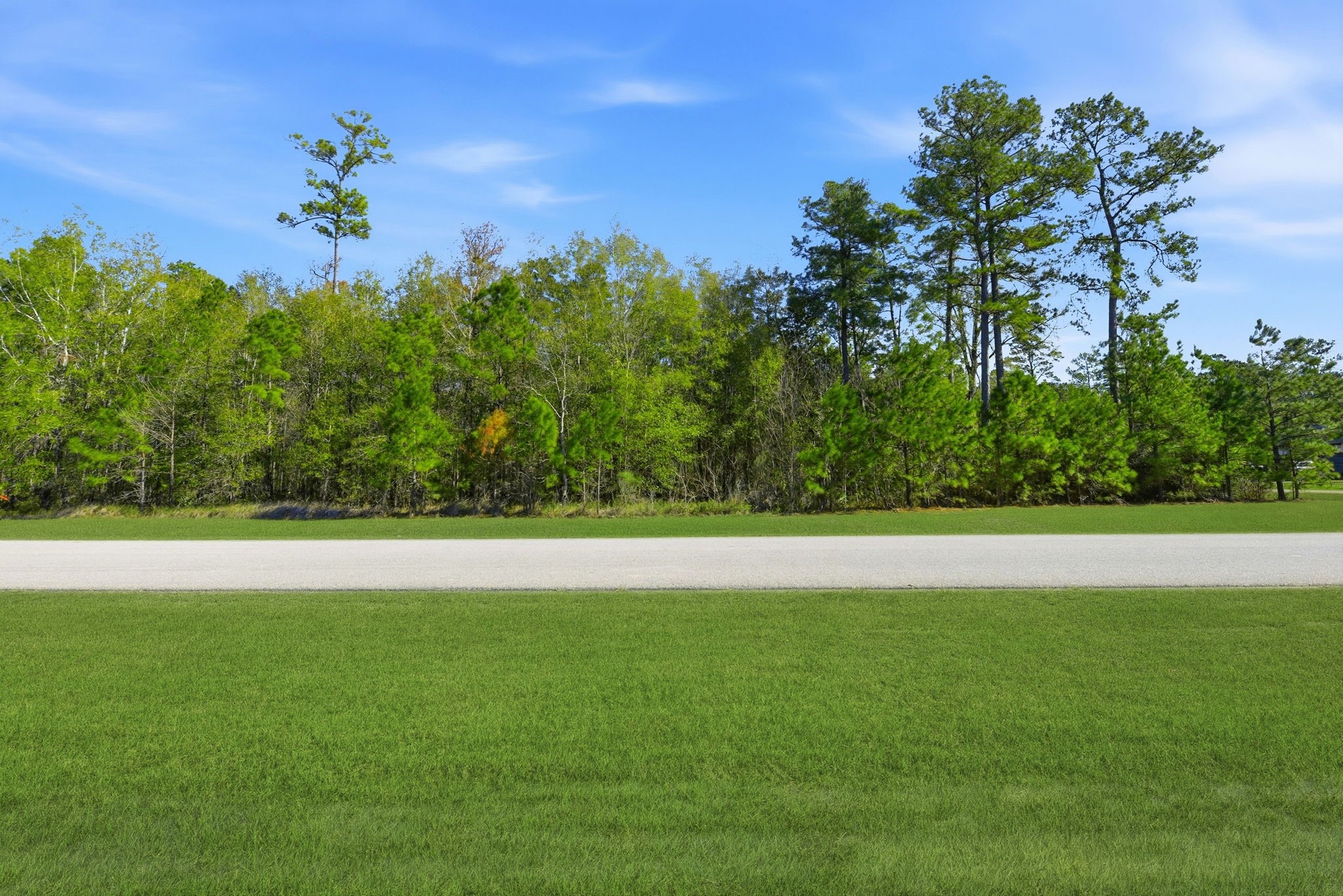 27560 South Lazy Meadow Way Spring, TX 77386 - Photo 4 of 42