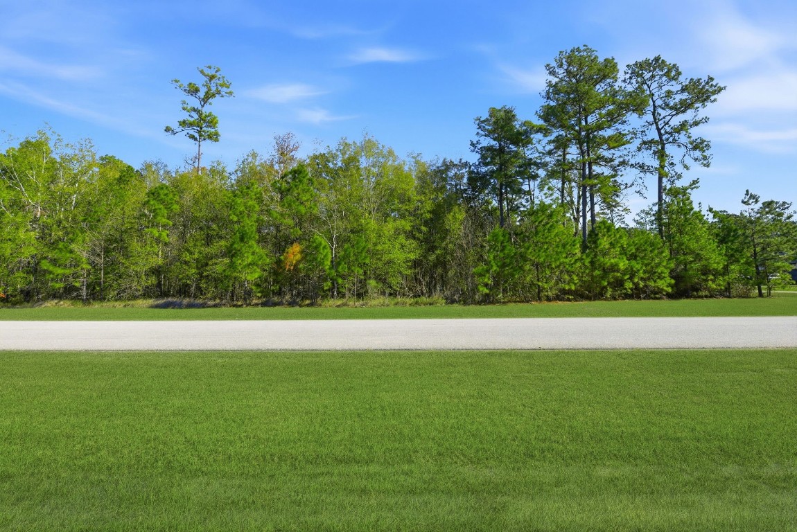 27560 South Lazy Meadow Way Spring, TX 77386 - Photo 4 of 42 a view of a yard