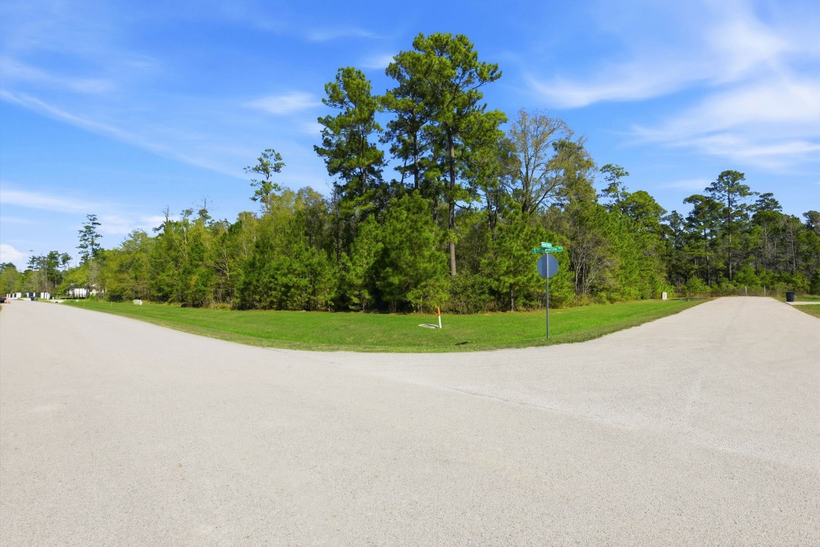 27560 South Lazy Meadow Way Spring, TX 77386 - Photo 5 of 42 a view of a golf course