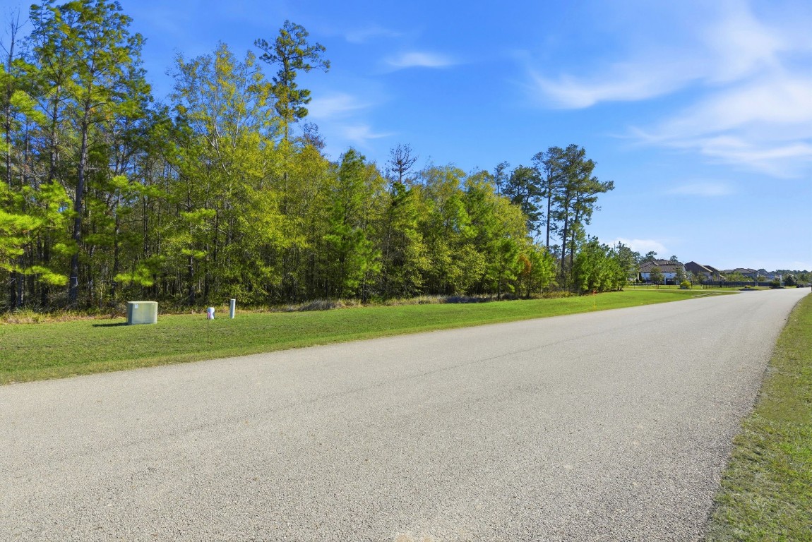 27560 South Lazy Meadow Way Spring, TX 77386 - Photo 6 of 42 a view of a golf course with a lake