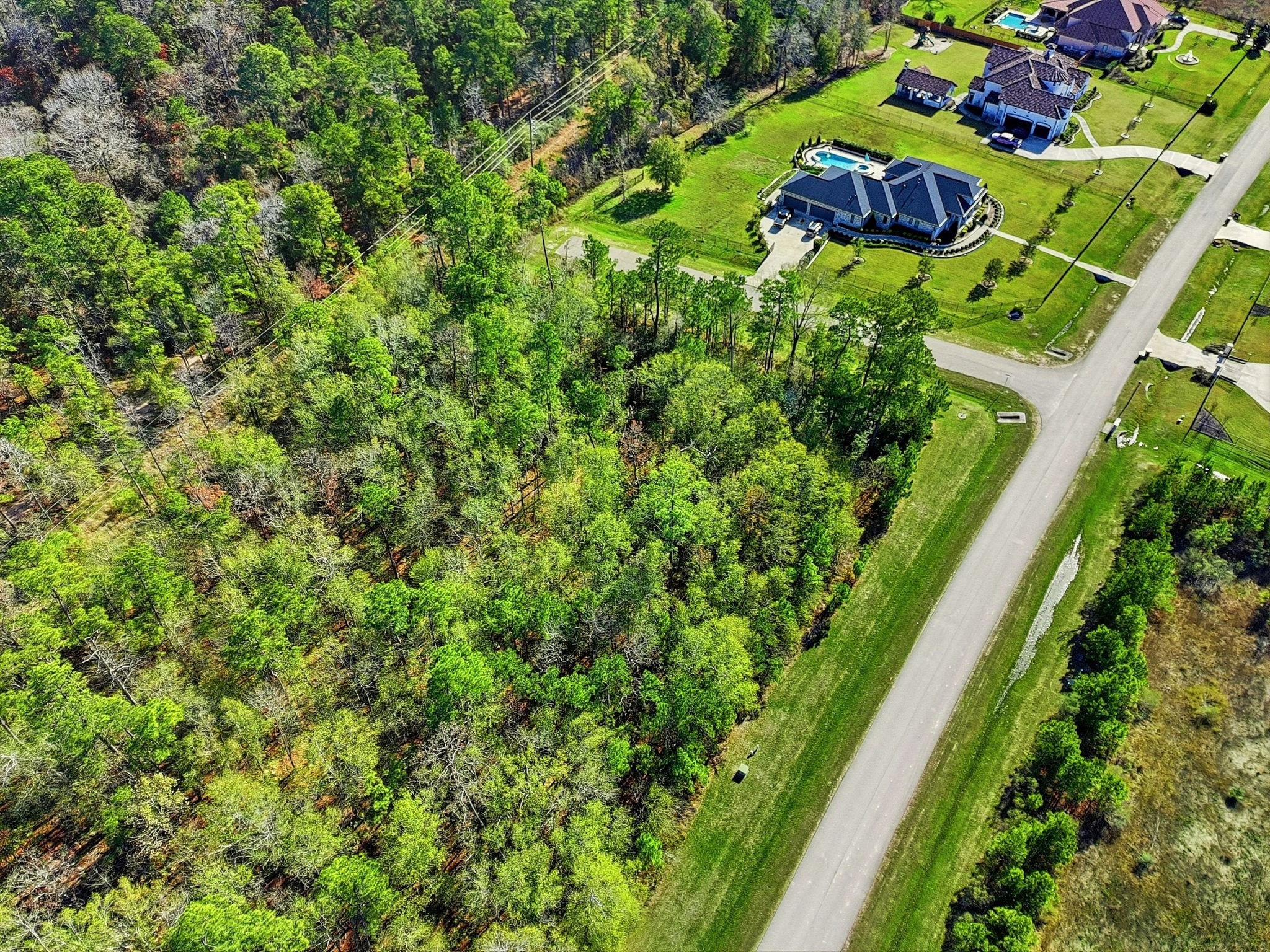 27560 South Lazy Meadow Way Spring, TX 77386 - Photo 8 of 42