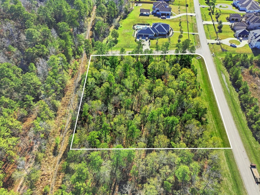 27560 South Lazy Meadow Way Spring, TX 77386 - Photo 9 of 42 a picture of a small yard