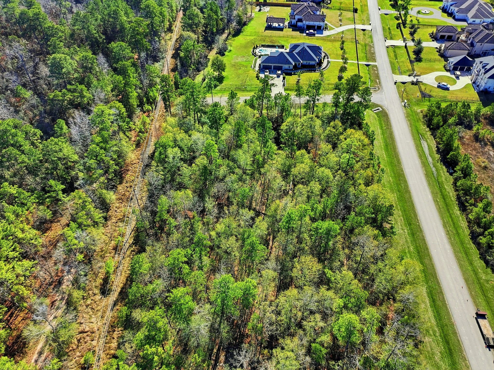 27560 South Lazy Meadow Way Spring, TX 77386 - Photo 10 of 42