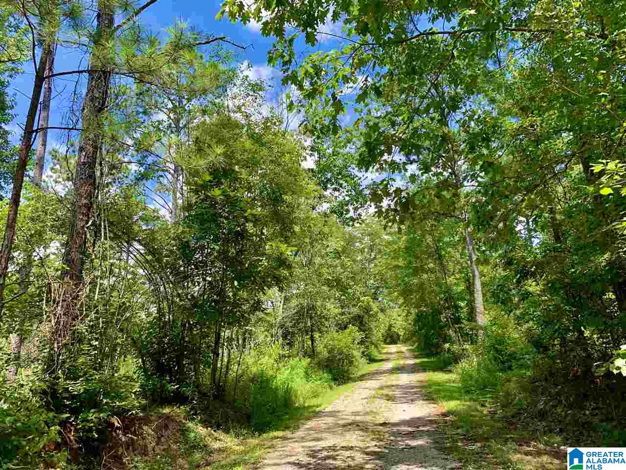 0 Brown Road Calera, AL 35040 - Photo 18 of 18