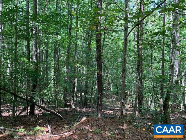 Greenfield Road Gladstone, VA 24553 - Photo 1 of 1 Gallery Image 1
