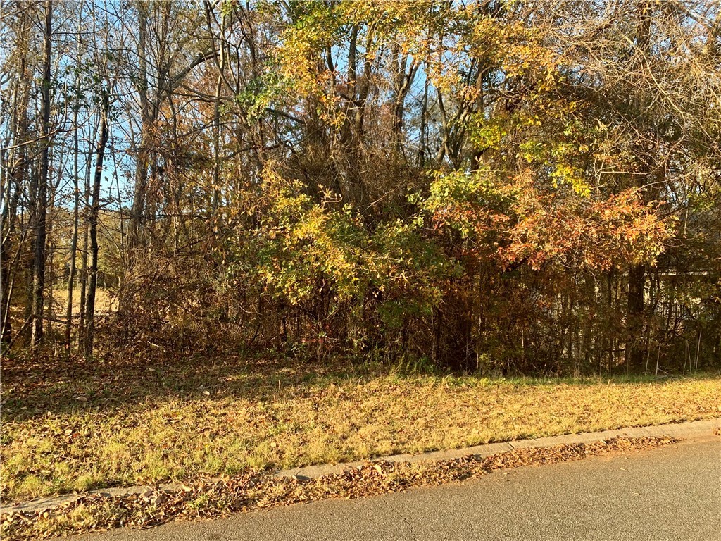 Lot 91 Grand Oak Circle Pendleton, SC 29670 - Photo 1 of 3 Gallery Image 1