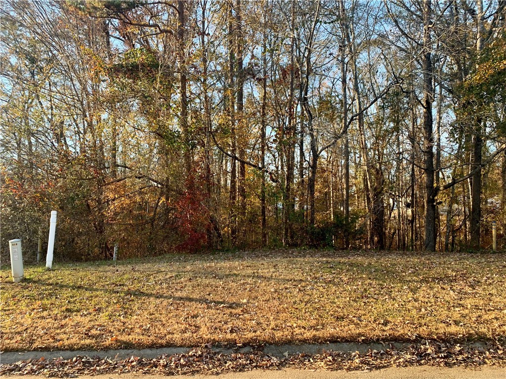 Lot 91 Grand Oak Circle Pendleton, SC 29670 - Photo 3 of 3 Gallery Image 3