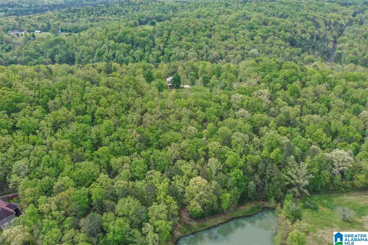 9235 Old Springville Road Trussville, AL 35173 - Photo 6 of 50