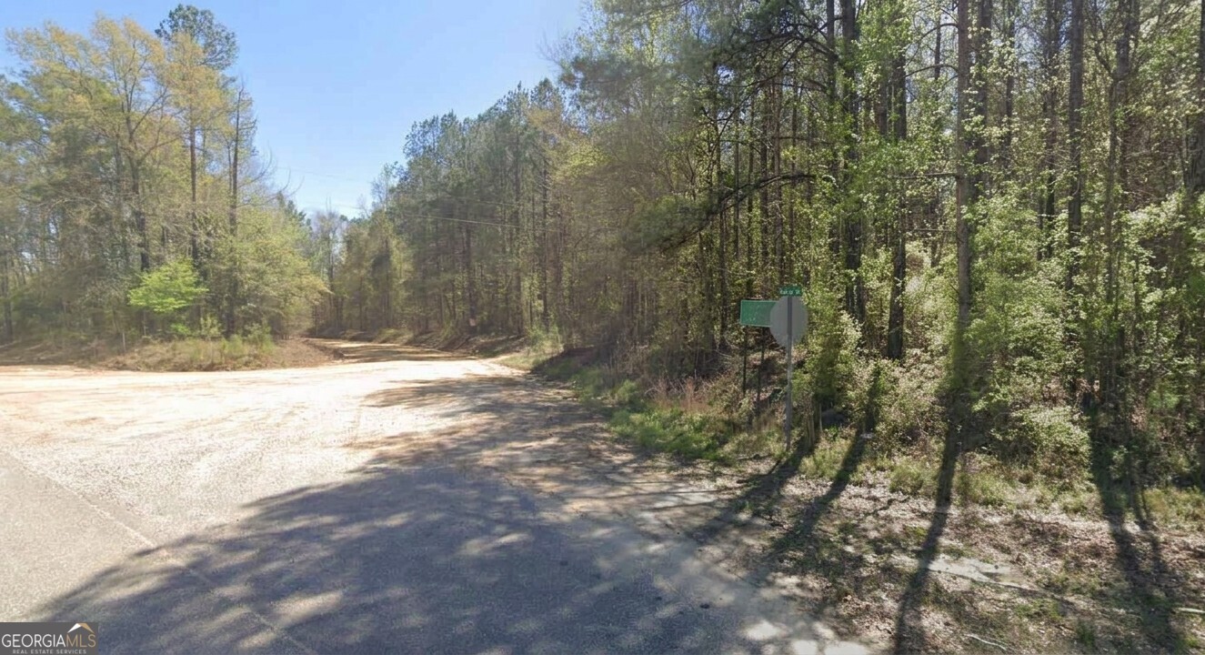 0 Mulberry/moore Road Brantley, AL 36009 - Photo 2 of 7