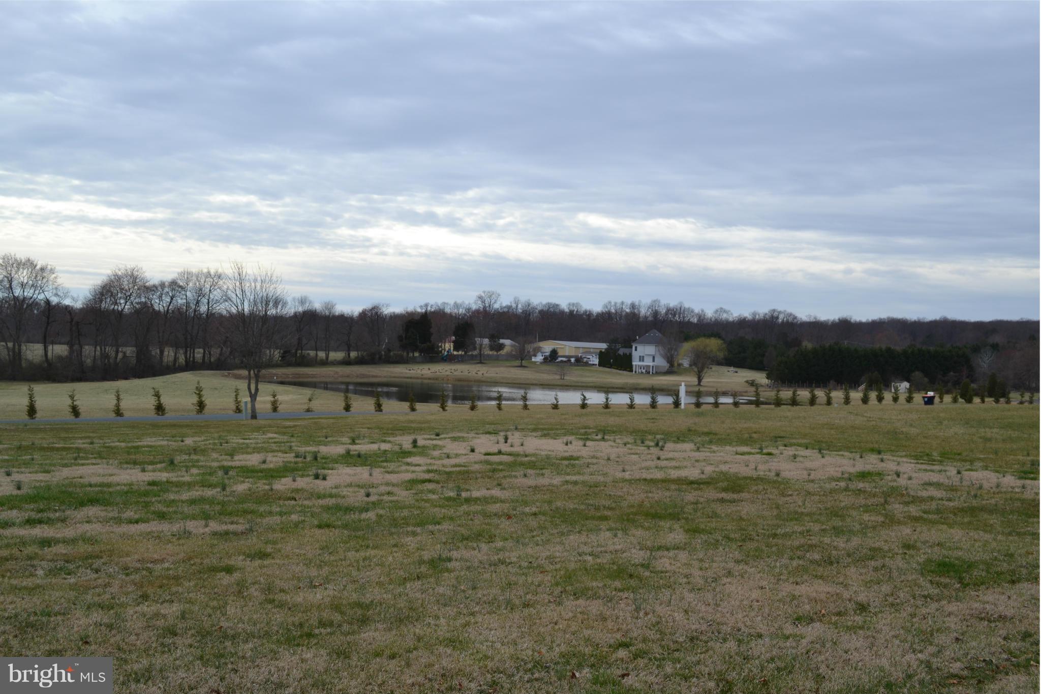 View of pond directly behind lot - BEAUTIFUL!