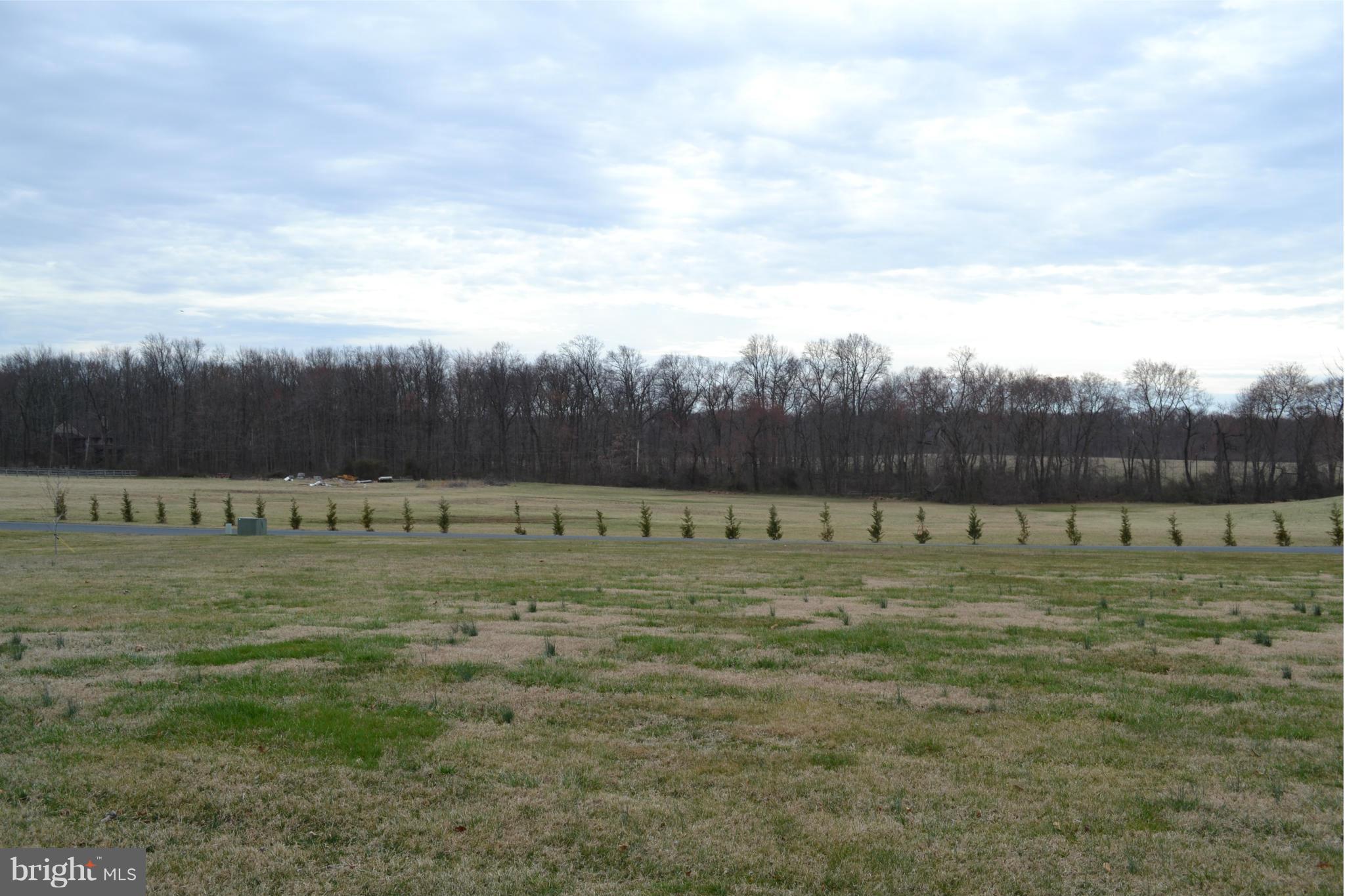View of adjacent open space from rear of lot