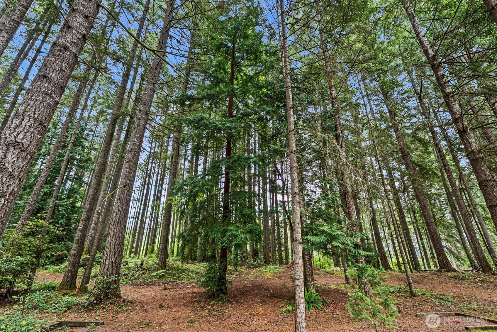 2415 Southeast Bielmeier Road Port Orchard, WA 98367 - Photo 35 of 40