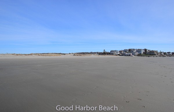31 Decatur Street Gloucester, MA 01930 - Photo 17 of 17 a view of an ocean and beach