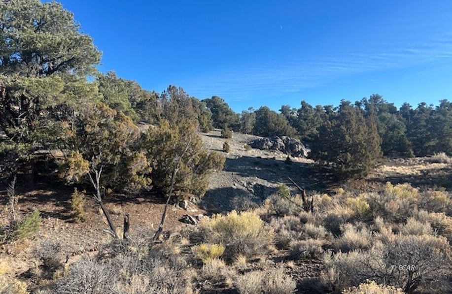 2 Track Wells Wells, NV 89835 - Photo 4 of 12