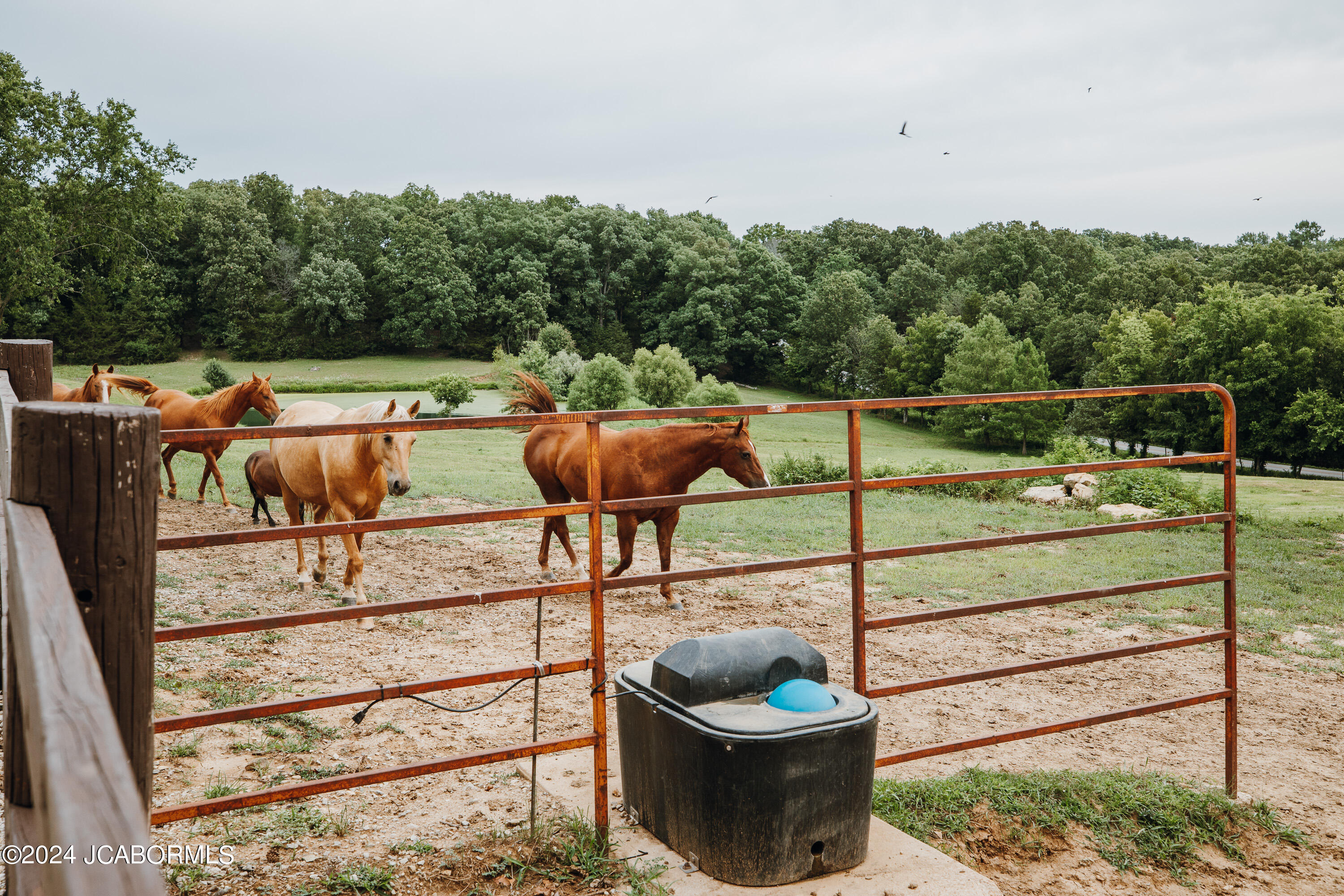 4461 State Rd AA Tebbetts, MO 65080 - Photo 65 of 75