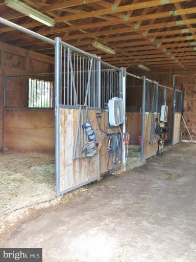 1373 Macton Road Street, MD 21154 - Photo 23 of 30 Stable Interior