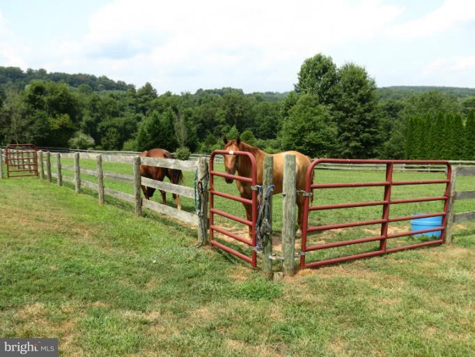 1373 Macton Road Street, MD 21154 - Photo 24 of 30 Horse Pasture