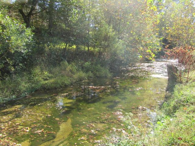 1330 West Field Road Dickson, TN 37055 - Photo 5 of 20 Flowing Creek at Back of Property