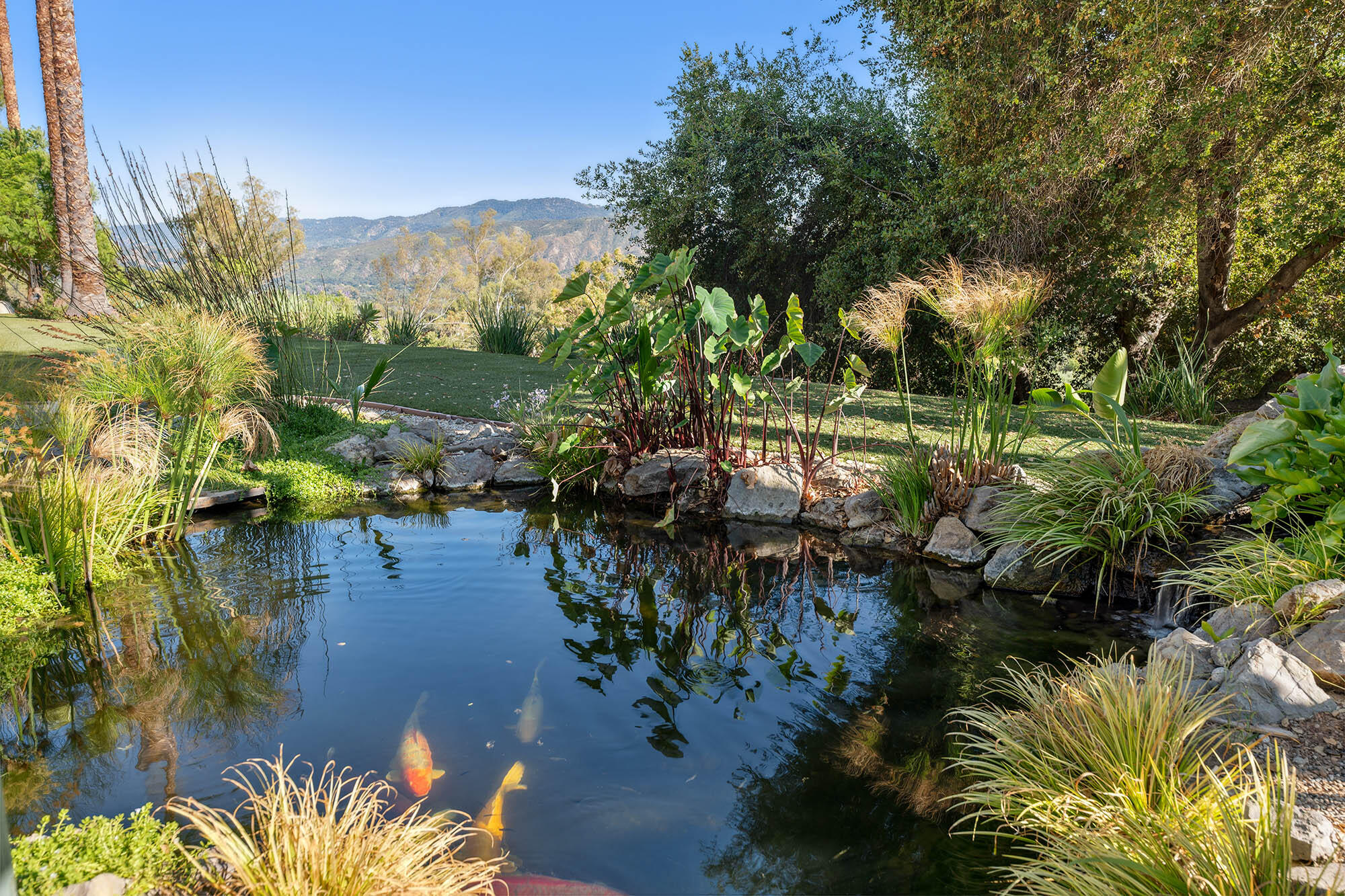 1119 North Signal Street Ojai, CA 93023 - Photo 65 of 83 Koi - 1119 N Signal St