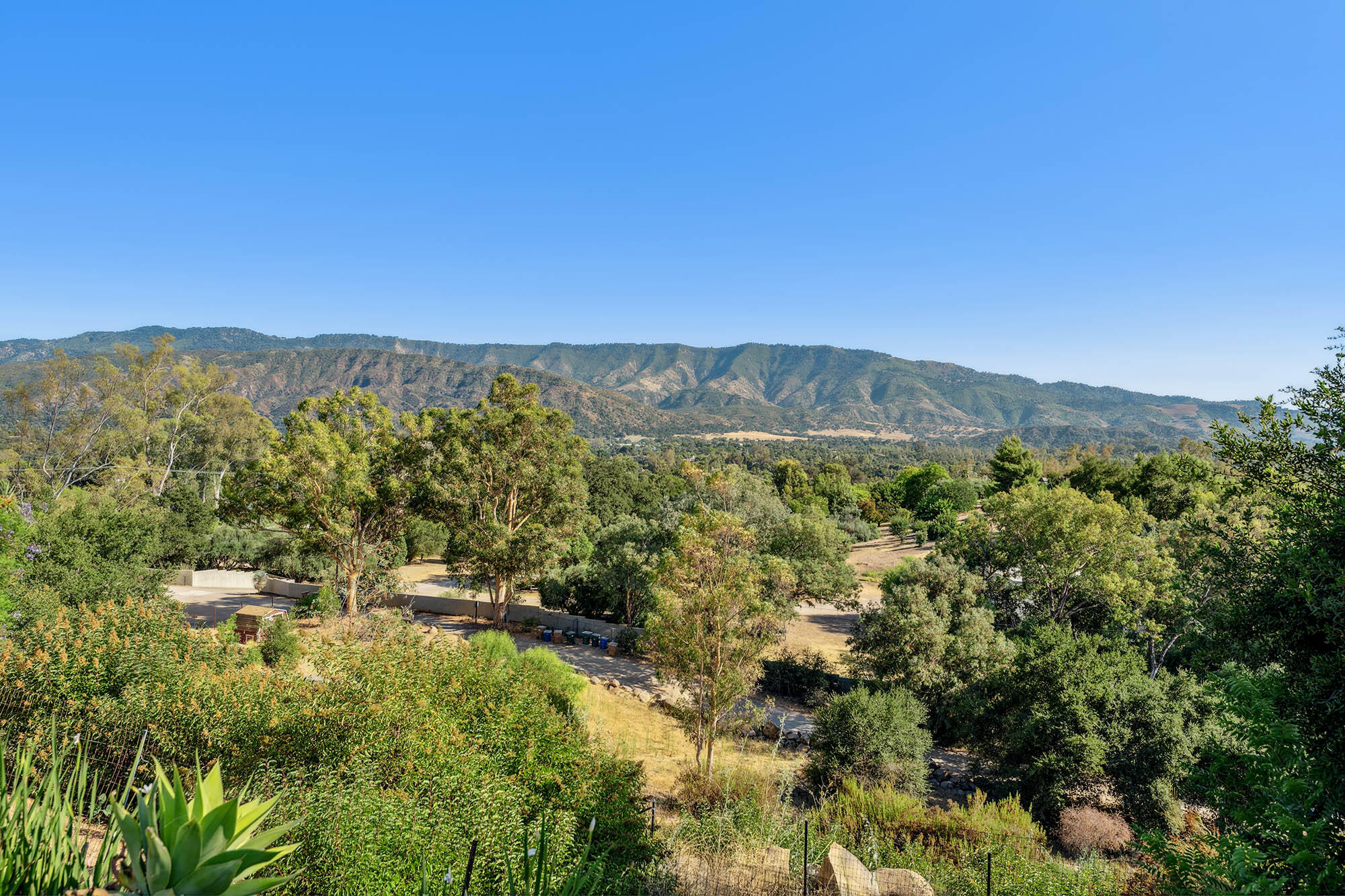 1119 North Signal Street Ojai, CA 93023 - Photo 76 of 83 South view - 1119 N Signal St