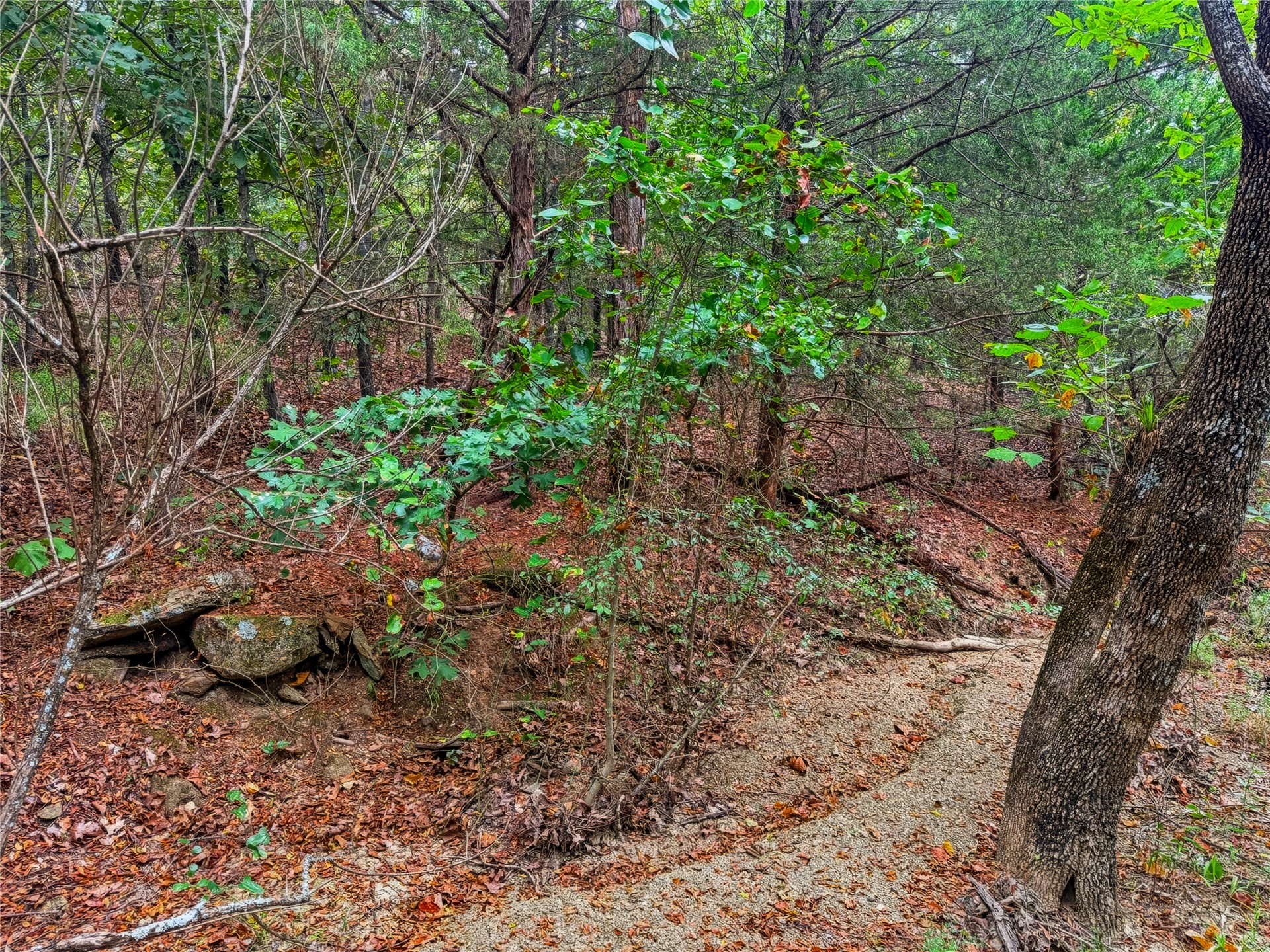 3607 South Half Bank Road Atoka, OK 74525 - Photo 65 of 82 Wooded parcel with a natural ground path and mature trees