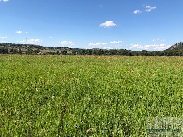1 Balfour Loop Reed Point, MT 59069 - Photo 1 of 1 Gallery Image 1
