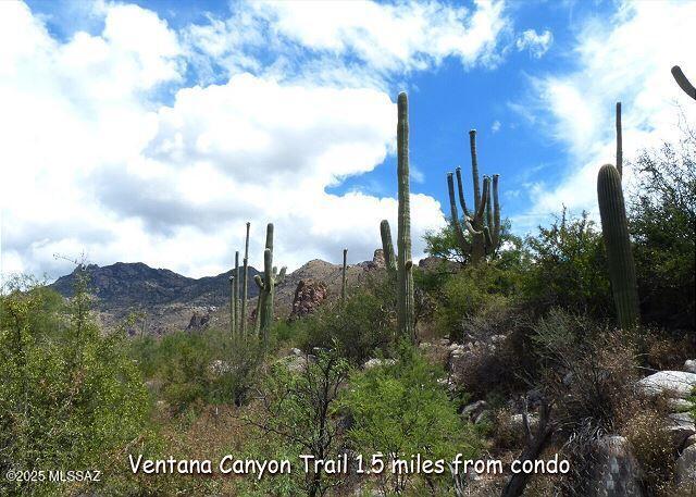 5855 North Kolb Road North, Unit 7103 Tucson, AZ 85750 - Photo 24 of 24