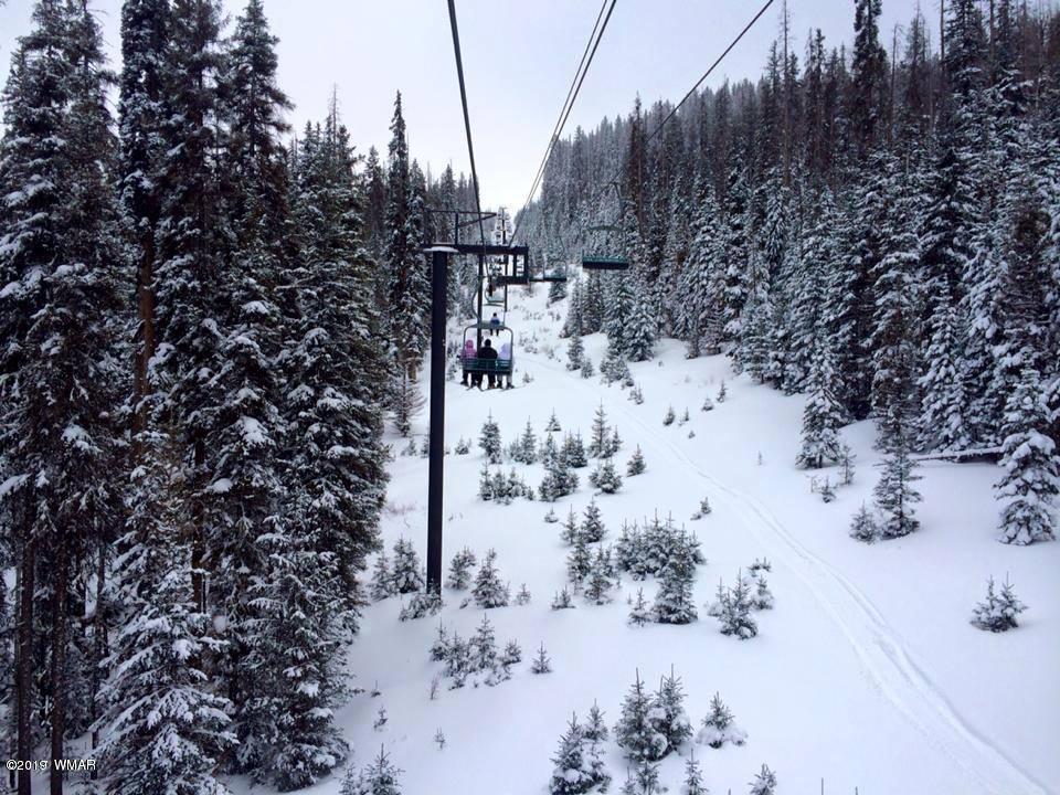 2442 Bronco Road Show Low, AZ 85901 - Photo 17 of 21 Gallery Image 17
