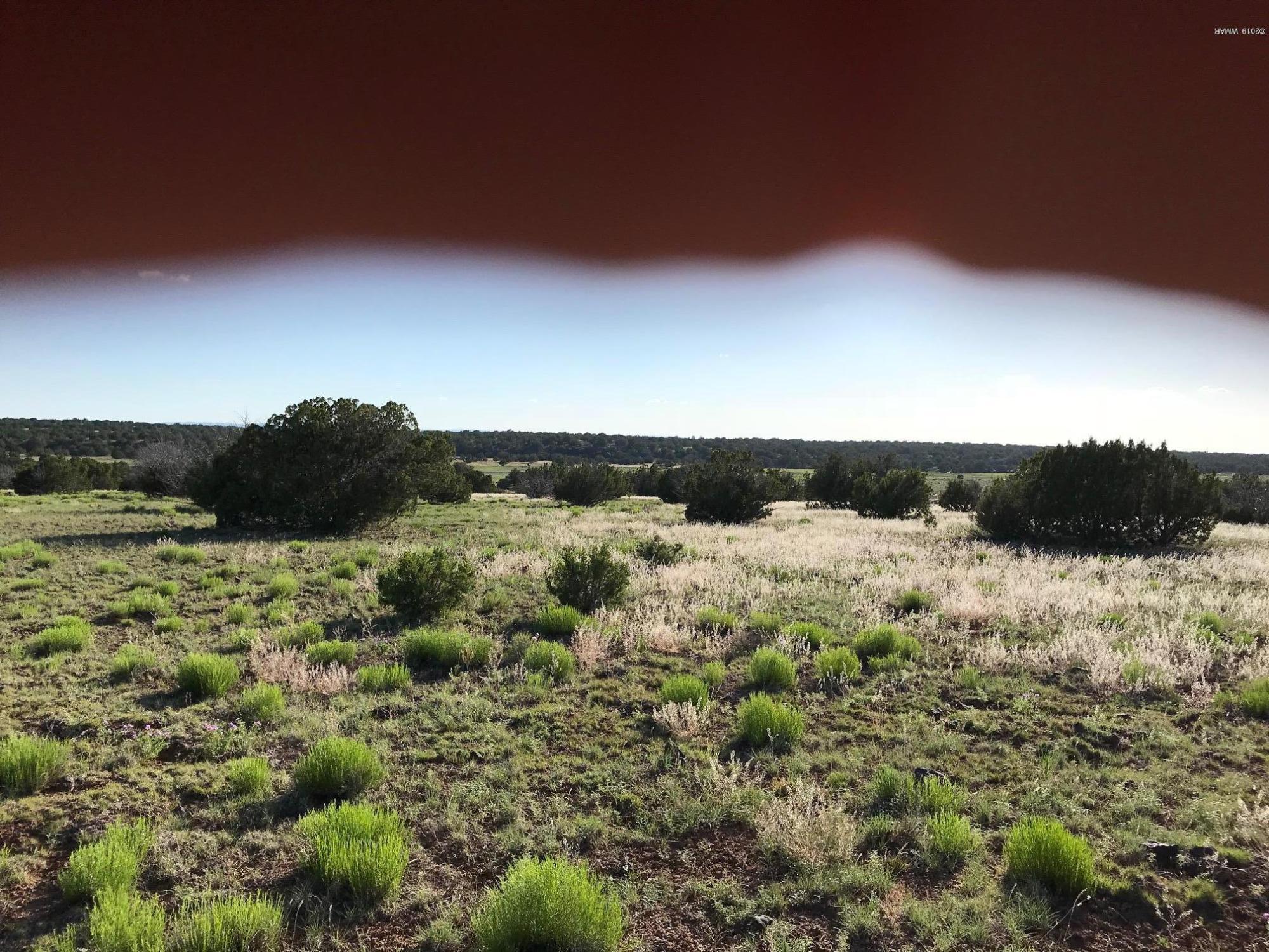 2442 Bronco Road Show Low, AZ 85901 - Photo 4 of 21 Gallery Image 4