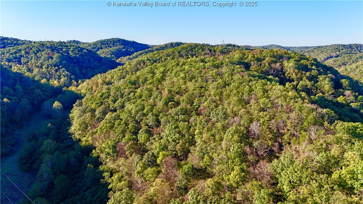 0 Harmons Creek Road Poca, WV 25159 - Photo 11 of 16 Gallery Image 11
