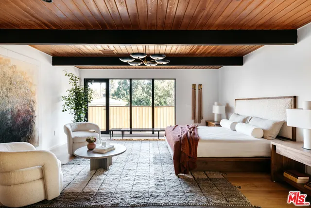 a living room with a potted plant and a window