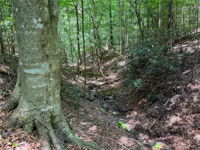 $47,900 | 0 Rainbow Trout Drive, Hays, NC 28635