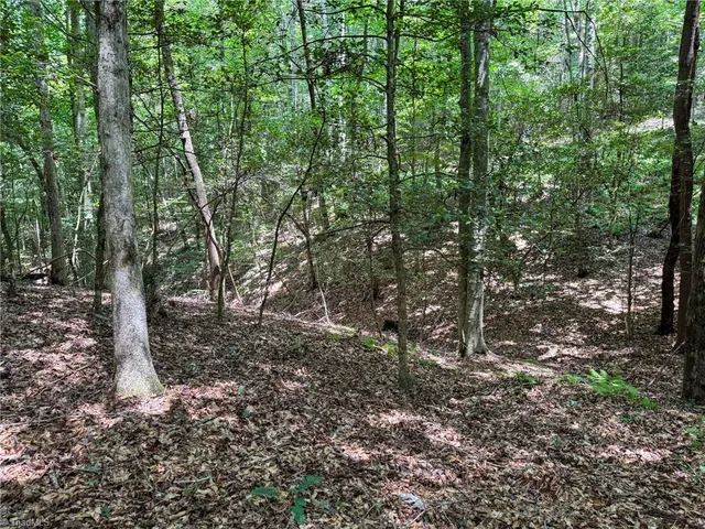 $47,900 | 0 Rainbow Trout Drive, Hays, NC 28635