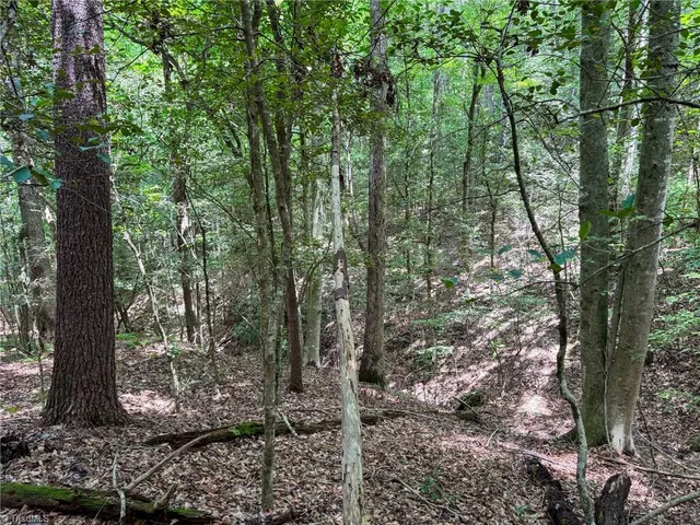 $47,900 | 0 Rainbow Trout Drive, Hays, NC 28635