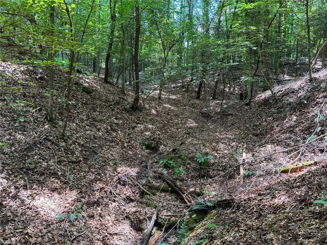 $47,900 | 0 Rainbow Trout Drive, Hays, NC 28635